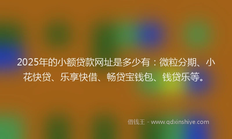 2025年的小额贷款网址是多少有：微粒分期、小花快贷、乐享快借、畅贷宝钱包、钱贷乐等。