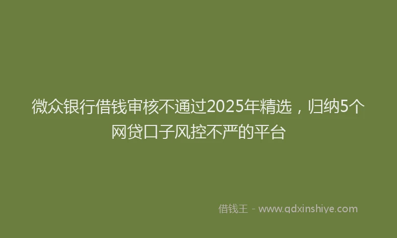 微众银行借钱审核不通过2025年精选，归纳5个网贷口子风控不严的平台