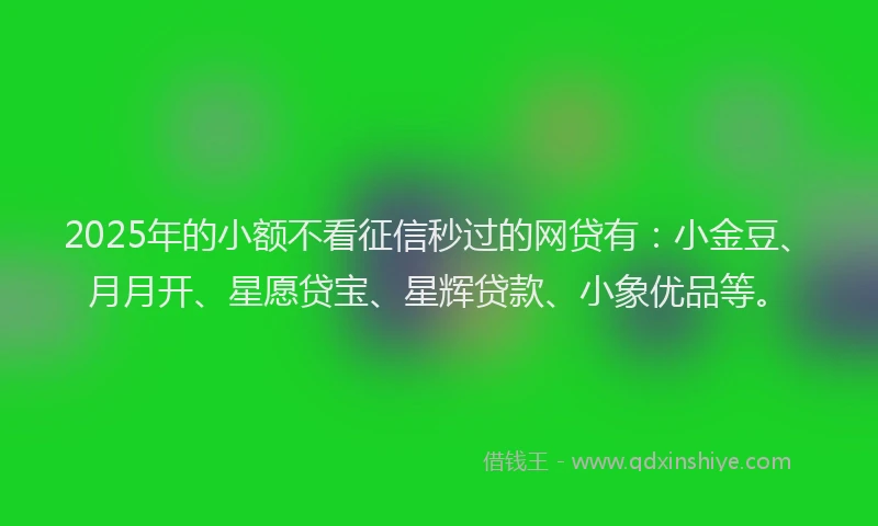 2025年的小额不看征信秒过的网贷有：小金豆、月月开、星愿贷宝、星辉贷款、小象优品等。