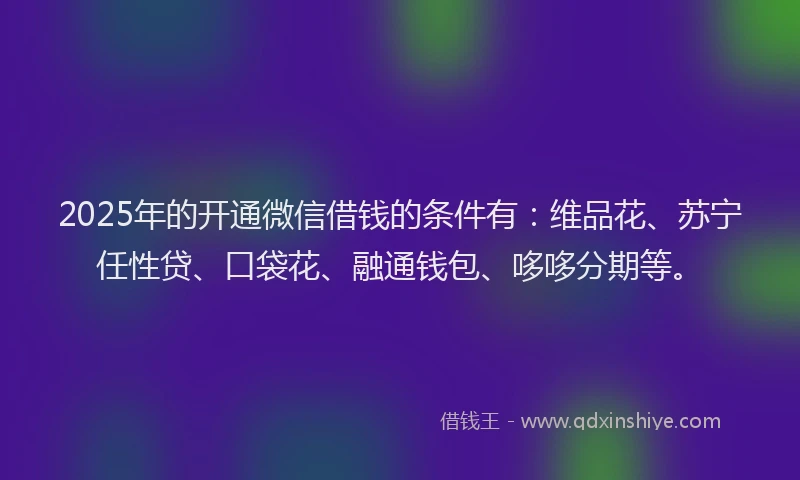 2025年的开通微信借钱的条件有：维品花、苏宁任性贷、口袋花、融通钱包、哆哆分期等。