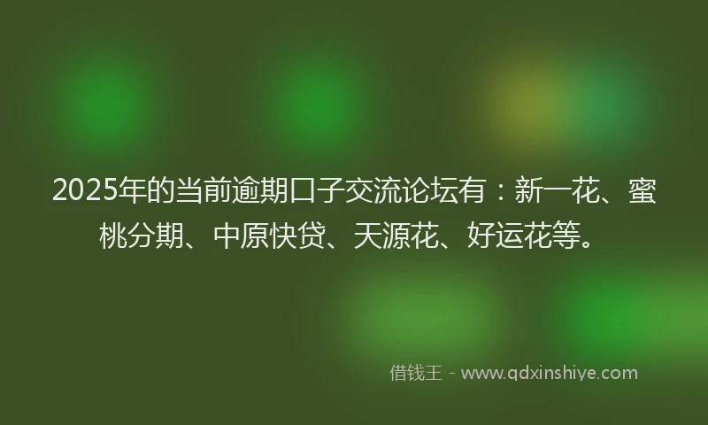 2025年的当前逾期口子交流论坛有：新一花、蜜桃分期、中原快贷、天源花、好运花等。
