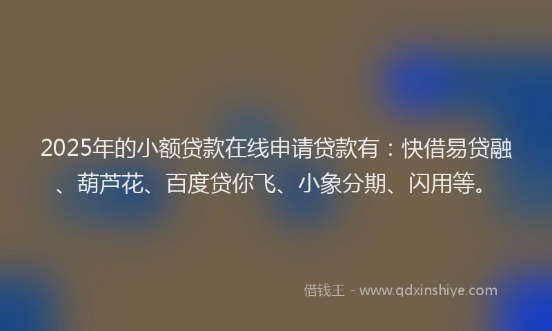 2025年的小额贷款在线申请贷款有：快借易贷融、葫芦花、百度贷你飞、小象分期、闪用等。