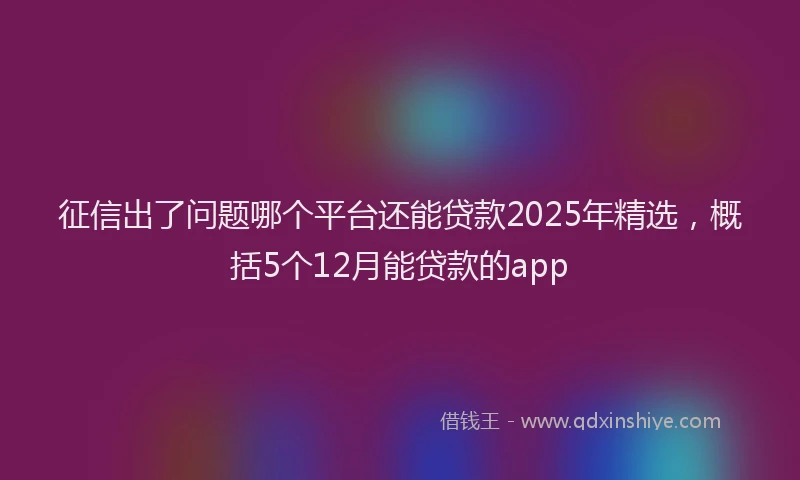 征信出了问题哪个平台还能贷款2025年精选，概括5个12月能贷款的app