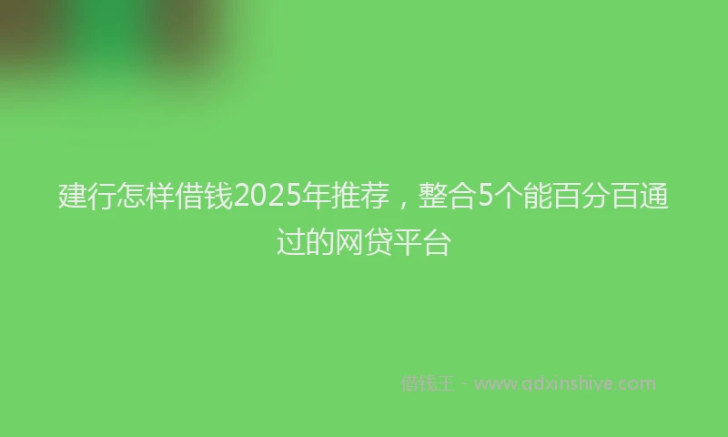 建行怎样借钱2025年推荐，整合5个能百分百通过的网贷平台