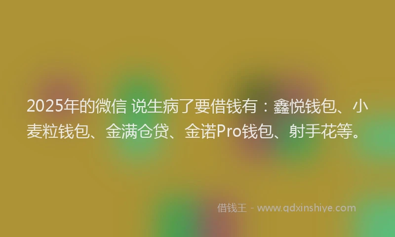2025年的微信 说生病了要借钱有：鑫悦钱包、小麦粒钱包、金满仓贷、金诺Pro钱包、射手花等。