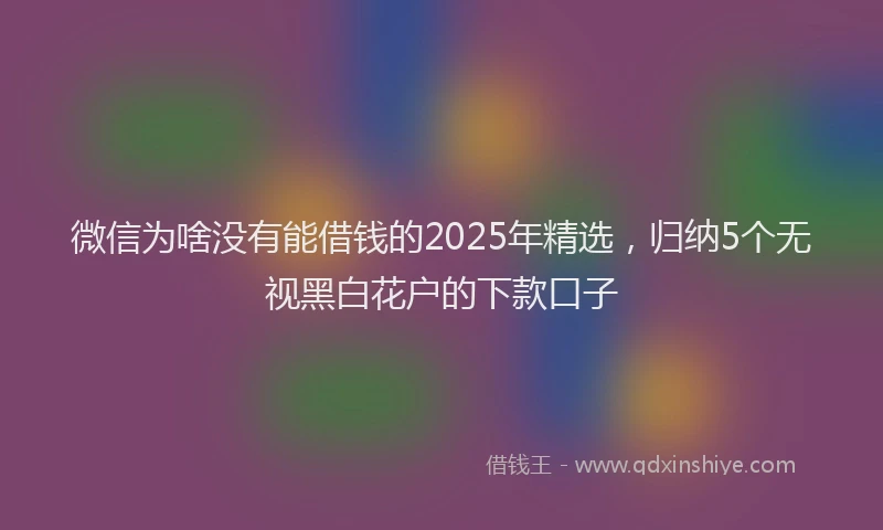 微信为啥没有能借钱的2025年精选，归纳5个无视黑白花户的下款口子
