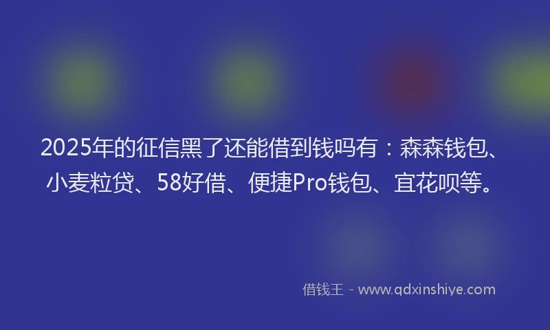 2025年的征信黑了还能借到钱吗有：森森钱包、小麦粒贷、58好借、便捷Pro钱包、宜花呗等。