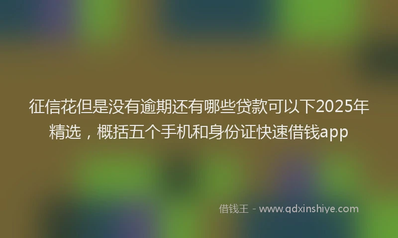 征信花但是没有逾期还有哪些贷款可以下2025年精选，概括五个手机和身份证快速借钱app