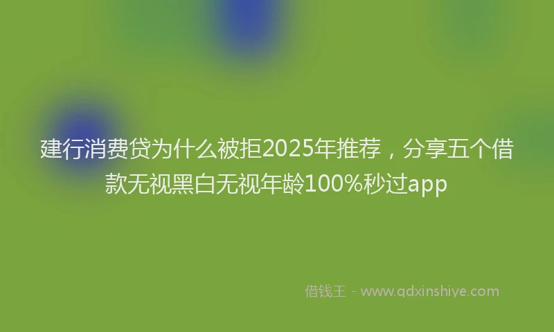 建行消费贷为什么被拒2025年推荐，分享五个借款无视黑白无视年龄100%秒过app