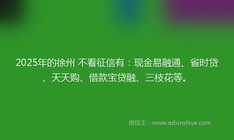 2025年的徐州 不看征信有：现金易融通、省时贷、天天购、借款宝贷融、三枝花等。