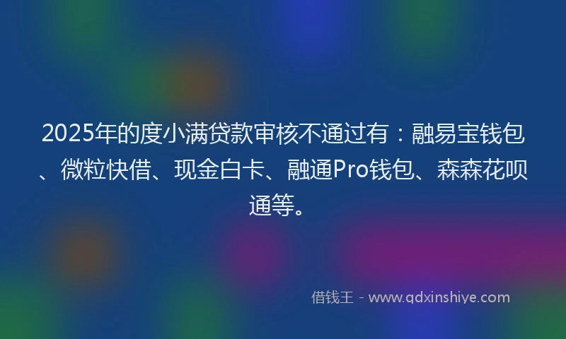 2025年的度小满贷款审核不通过有：融易宝钱包、微粒快借、现金白卡、融通Pro钱包、森森花呗通等。