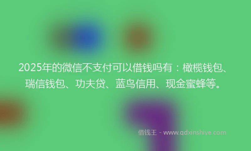 2025年的微信不支付可以借钱吗有：橄榄钱包、瑞信钱包、功夫贷、蓝鸟信用、现金蜜蜂等。