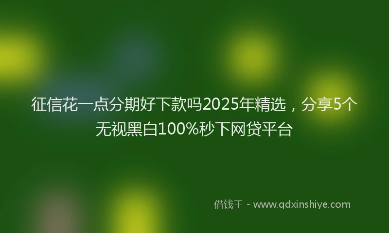征信花一点分期好下款吗2025年精选，分享5个无视黑白100%秒下网贷平台