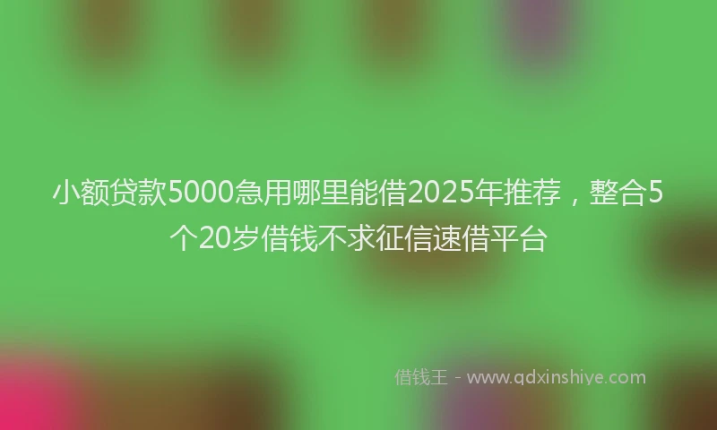 小额贷款5000急用哪里能借2025年推荐，整合5个20岁借钱不求征信速借平台