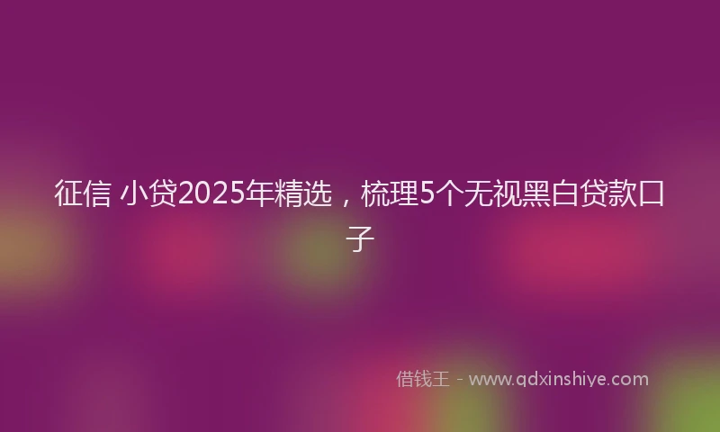 征信 小贷2025年精选，梳理5个无视黑白贷款口子