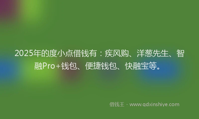 2025年的度小点借钱有：疾风购、洋葱先生、智融Pro+钱包、便捷钱包、快融宝等。