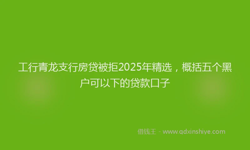 工行青龙支行房贷被拒2025年精选，概括五个黑户可以下的贷款口子