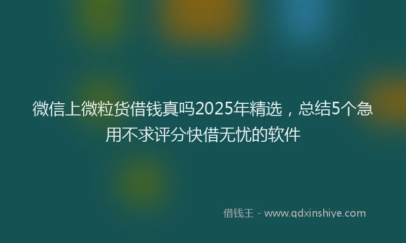 微信上微粒货借钱真吗2025年精选，总结5个急用不求评分快借无忧的软件