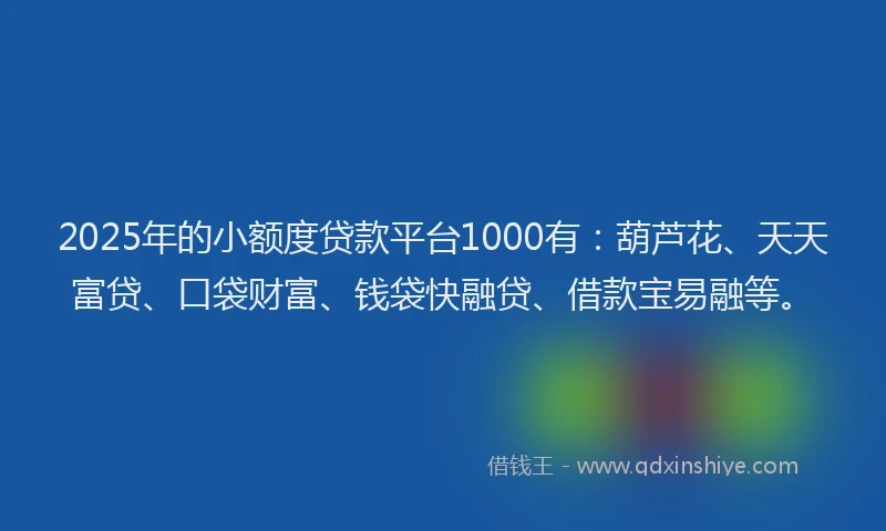 2025年的小额度贷款平台1000有：葫芦花、天天富贷、口袋财富、钱袋快融贷、借款宝易融等。