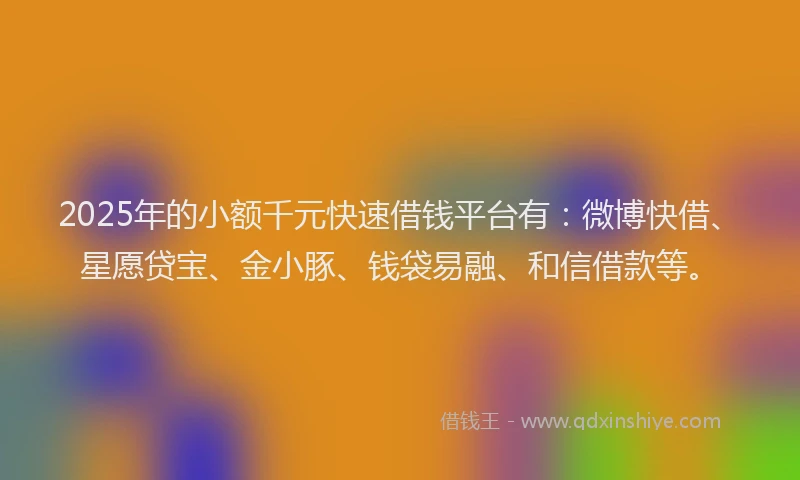 2025年的小额千元快速借钱平台有：微博快借、星愿贷宝、金小豚、钱袋易融、和信借款等。