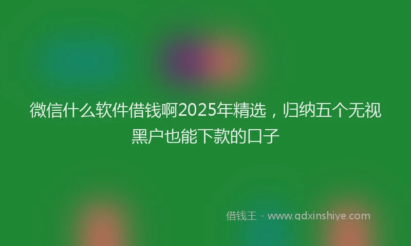微信什么软件借钱啊2025年精选，归纳五个无视黑户也能下款的口子