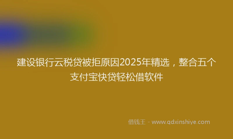建设银行云税贷被拒原因2025年精选，整合五个支付宝快贷轻松借软件
