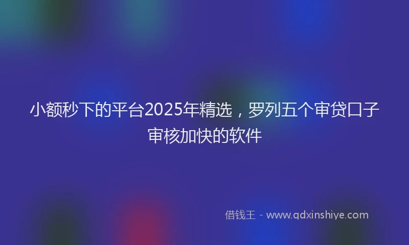 小额秒下的平台2025年精选，罗列五个审贷口子审核加快的软件