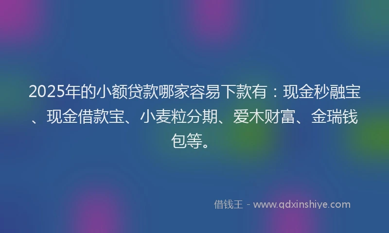 2025年的小额贷款哪家容易下款有：现金秒融宝、现金借款宝、小麦粒分期、爱木财富、金瑞钱包等。