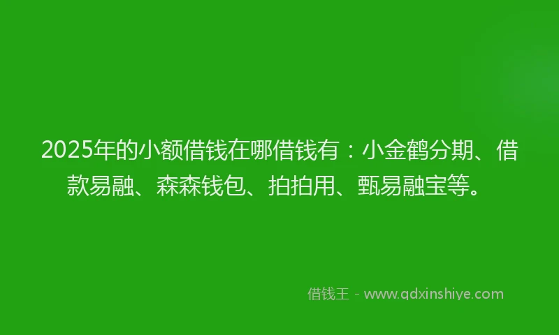 2025年的小额借钱在哪借钱有：小金鹤分期、借款易融、森森钱包、拍拍用、甄易融宝等。