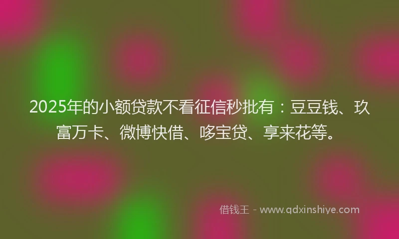 2025年的小额贷款不看征信秒批有：豆豆钱、玖富万卡、微博快借、哆宝贷、享来花等。