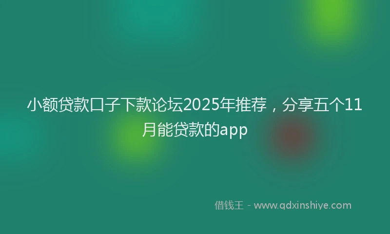 小额贷款口子下款论坛2025年推荐，分享五个11月能贷款的app