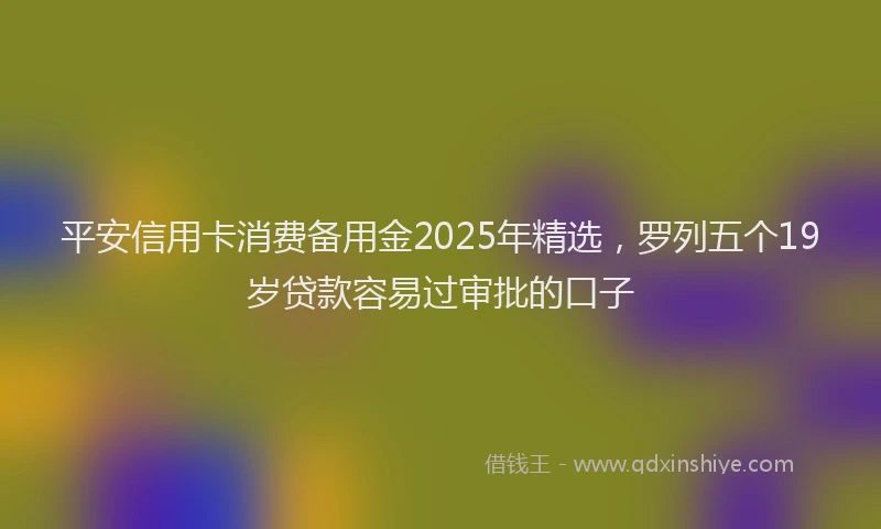 平安信用卡消费备用金2025年精选，罗列五个19岁贷款容易过审批的口子