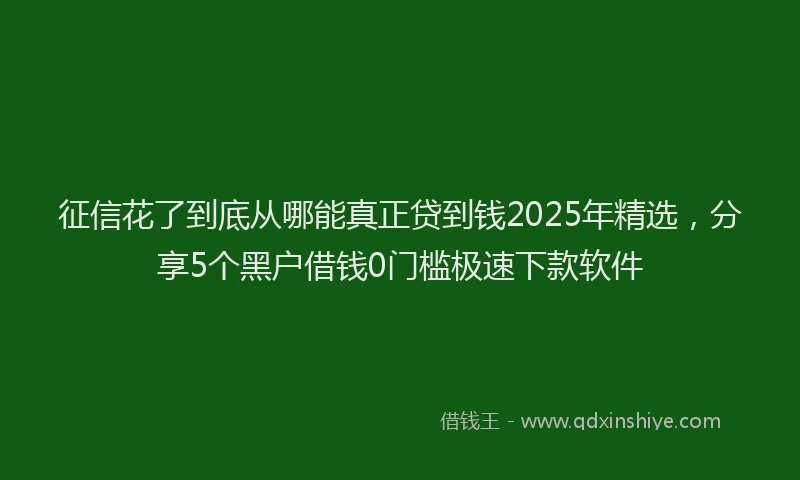 征信花了到底从哪能真正贷到钱2025年精选，分享5个黑户借钱0门槛极速下款软件