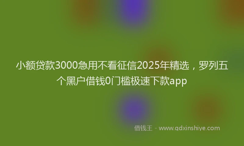 小额贷款3000急用不看征信2025年精选，罗列五个黑户借钱0门槛极速下款app