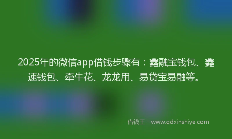 2025年的微信app借钱步骤有：鑫融宝钱包、鑫速钱包、牵牛花、龙龙用、易贷宝易融等。