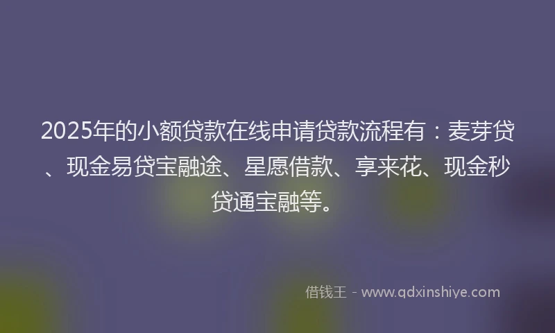 2025年的小额贷款在线申请贷款流程有：麦芽贷、现金易贷宝融途、星愿借款、享来花、现金秒贷通宝融等。