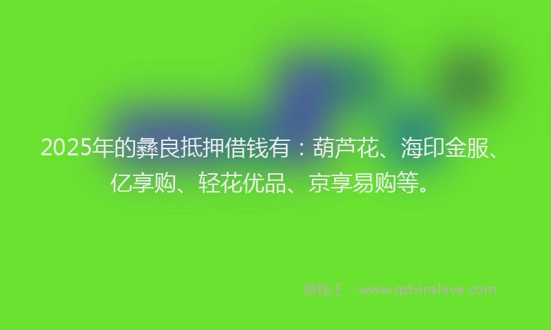 2025年的彝良抵押借钱有：葫芦花、海印金服、亿享购、轻花优品、京享易购等。