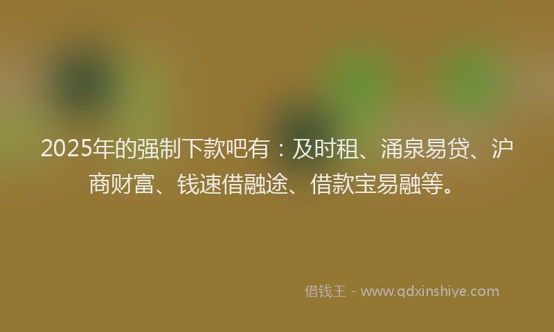 2025年的强制下款吧有：及时租、涌泉易贷、沪商财富、钱速借融途、借款宝易融等。