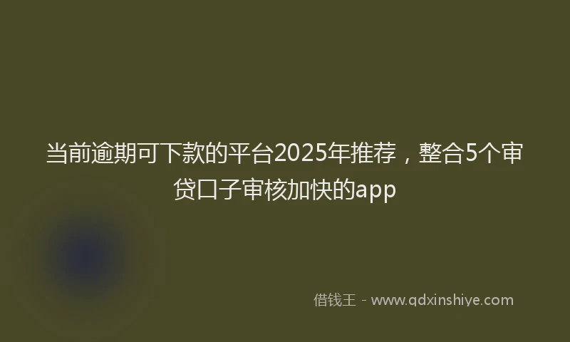 当前逾期可下款的平台2025年推荐，整合5个审贷口子审核加快的app