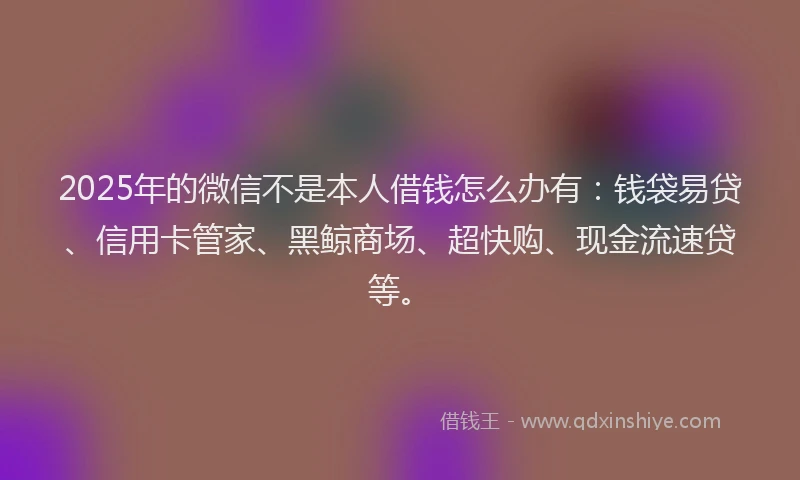 2025年的微信不是本人借钱怎么办有：钱袋易贷、信用卡管家、黑鲸商场、超快购、现金流速贷等。