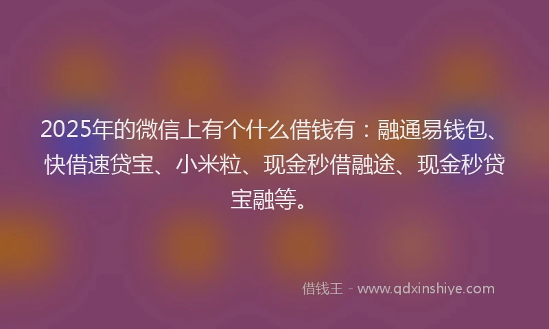 2025年的微信上有个什么借钱有：融通易钱包、快借速贷宝、小米粒、现金秒借融途、现金秒贷宝融等。