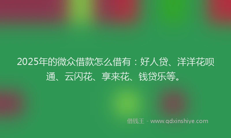 2025年的微众借款怎么借有：好人贷、洋洋花呗通、云闪花、享来花、钱贷乐等。