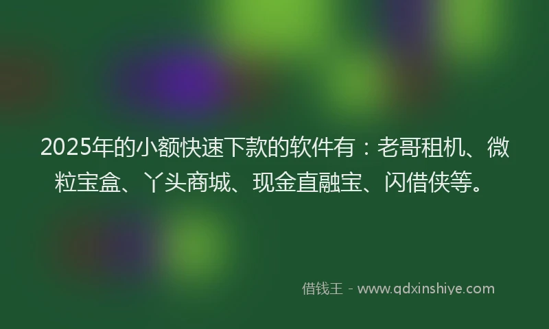 2025年的小额快速下款的软件有：老哥租机、微粒宝盒、丫头商城、现金直融宝、闪借侠等。