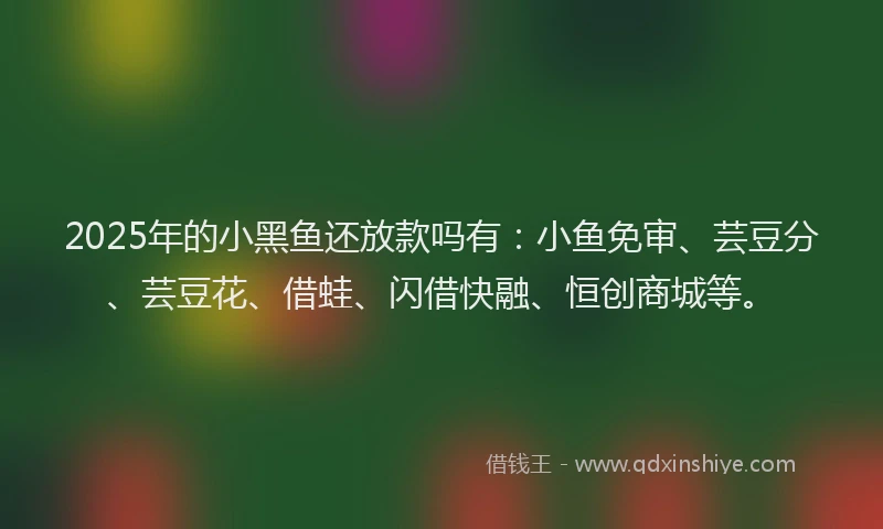 2025年的小黑鱼还放款吗有：小鱼免审、芸豆分、芸豆花、借蛙、闪借快融、恒创商城等。
