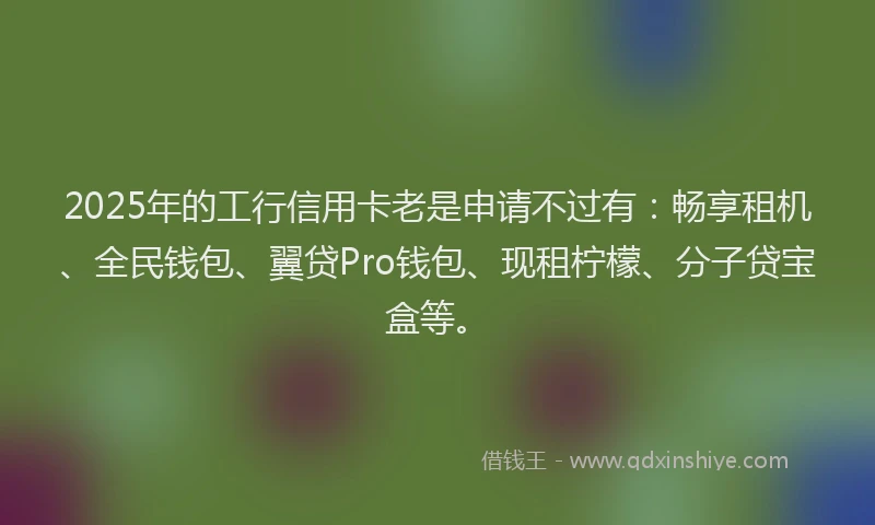 2025年的工行信用卡老是申请不过有：畅享租机、全民钱包、翼贷Pro钱包、现租柠檬、分子贷宝盒等。