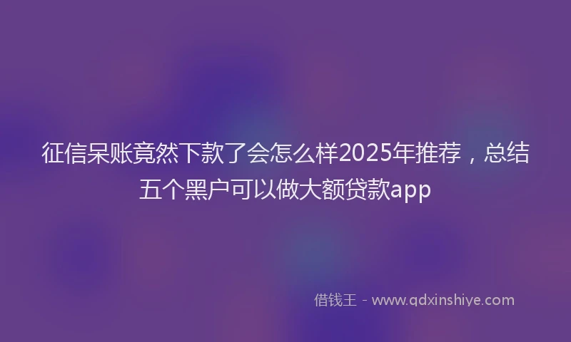 征信呆账竟然下款了会怎么样2025年推荐，总结五个黑户可以做大额贷款app