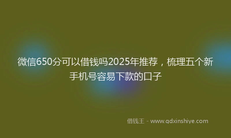 微信650分可以借钱吗2025年推荐，梳理五个新手机号容易下款的口子