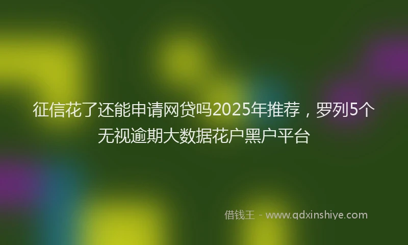征信花了还能申请网贷吗2025年推荐，罗列5个无视逾期大数据花户黑户平台