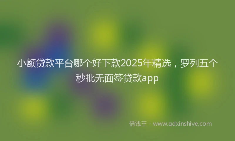 小额贷款平台哪个好下款2025年精选，罗列五个秒批无面签贷款app