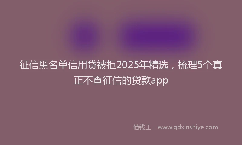 征信黑名单信用贷被拒2025年精选，梳理5个真正不查征信的贷款app